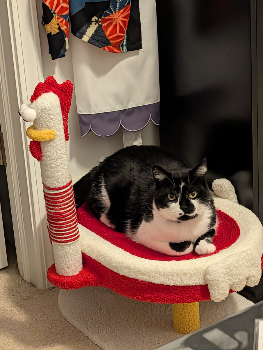 Speakz🌂🎩🏹📗🚲♩є(･◇･｡)э tweet media