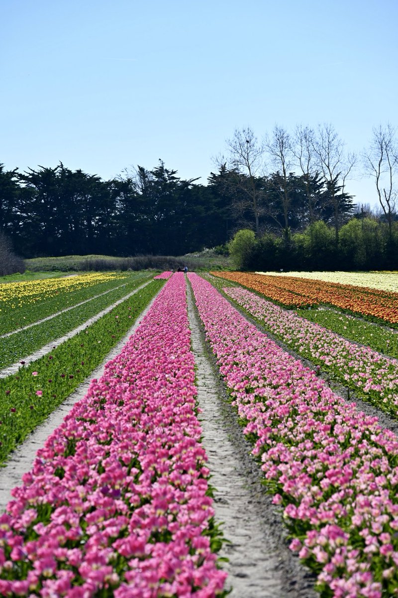 Geneviève HéryArnaud tweet media
