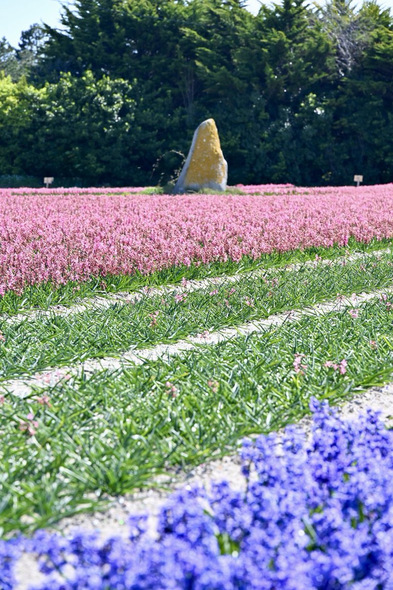 Geneviève HéryArnaud tweet media