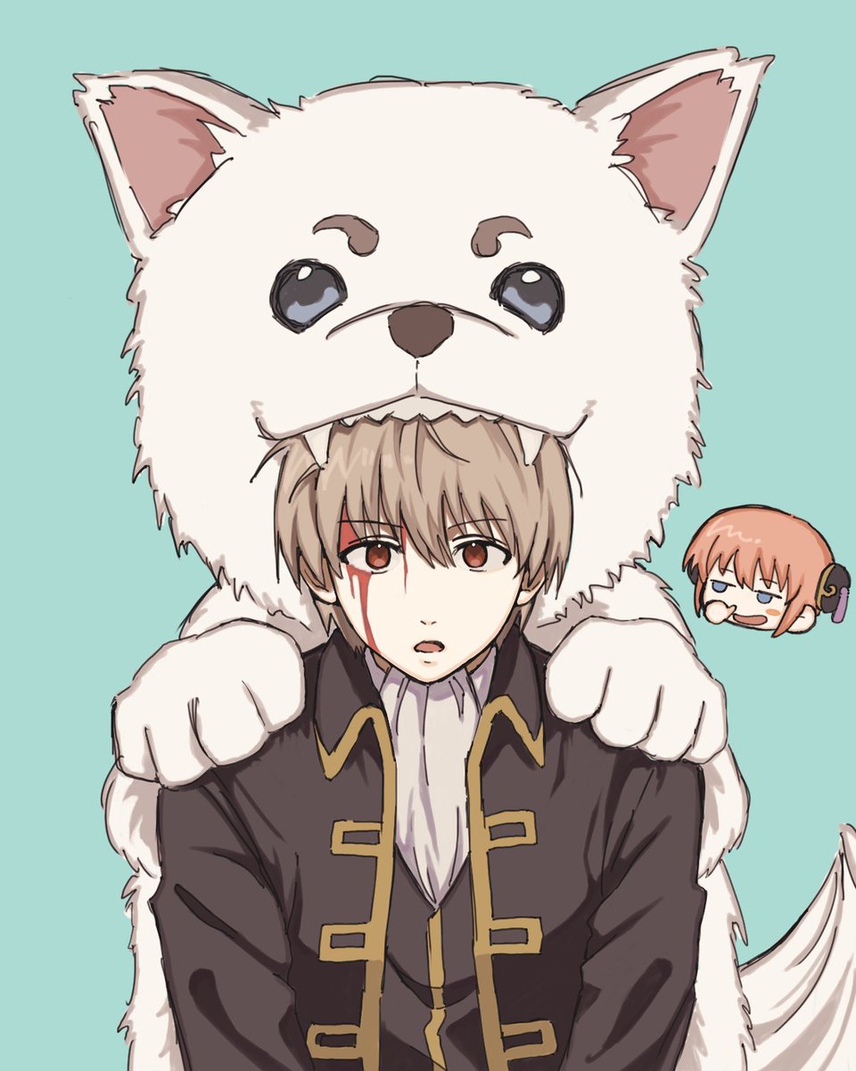 カシカ tweet media