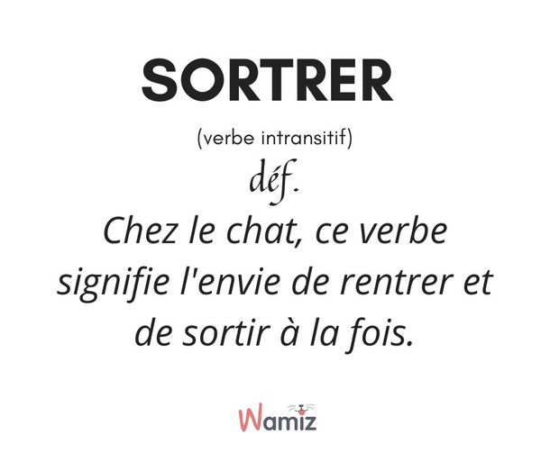 les Potichats de Jeanne Kerjean 😺😺🌟🌟 tweet media