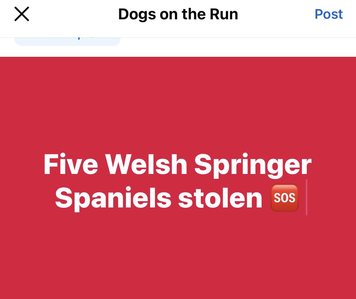 Rosie Doc tweet media