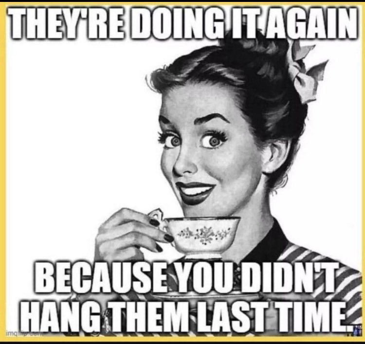 Mejn 'Z' tweet media