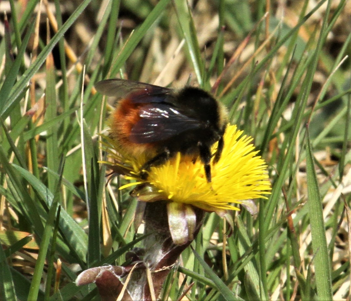 Allen Stuart Holmes tweet media