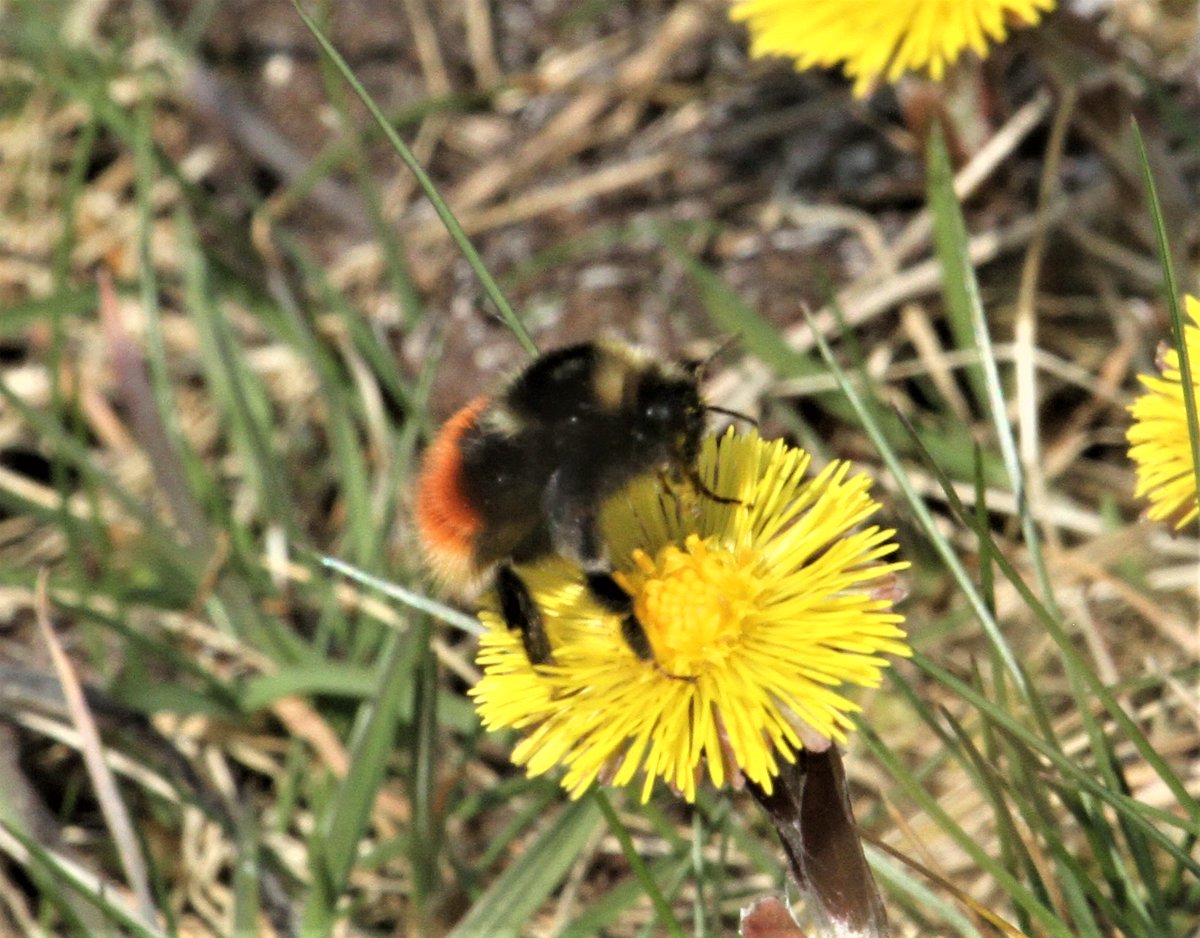 Allen Stuart Holmes tweet media