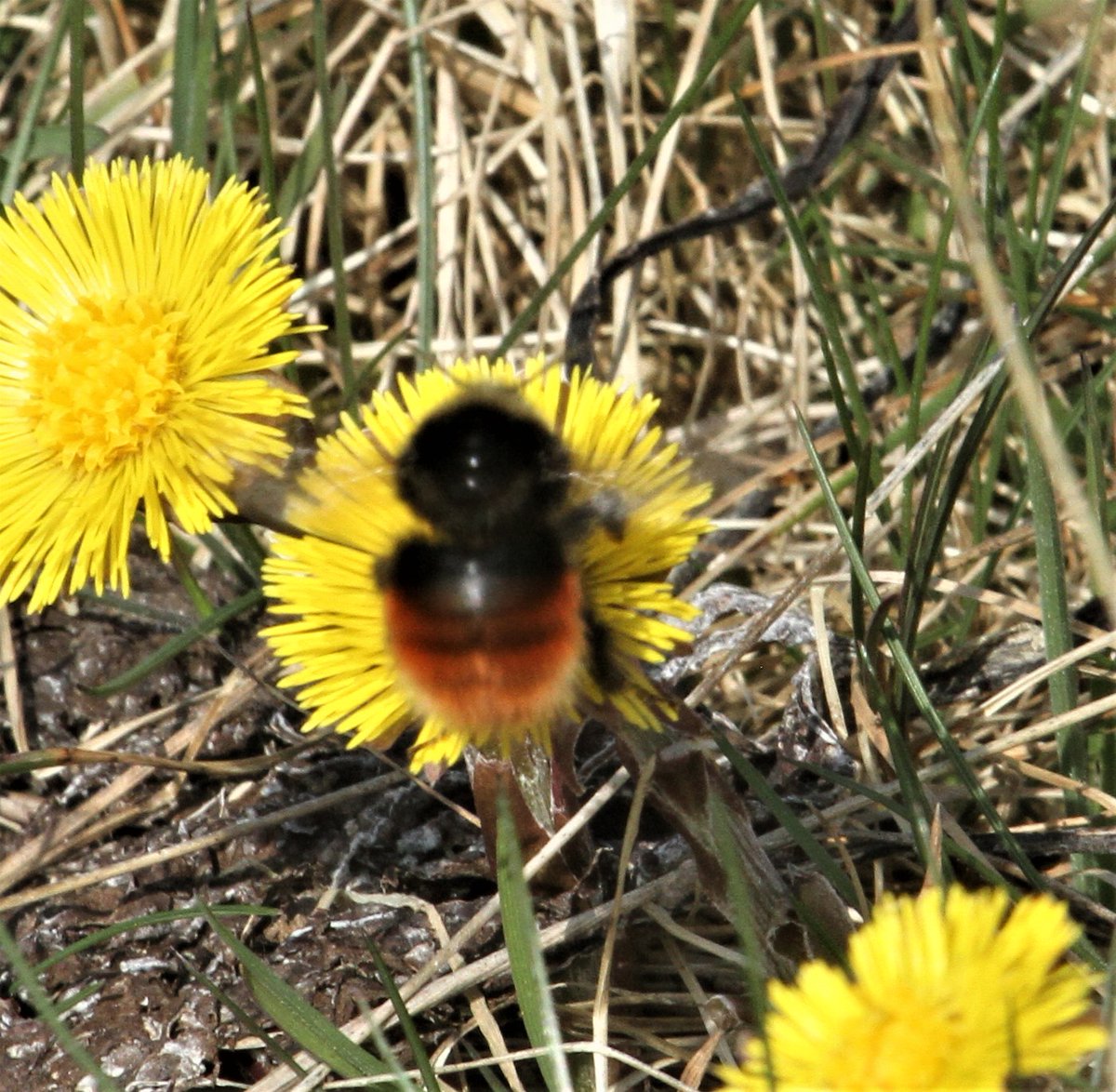 Allen Stuart Holmes tweet media