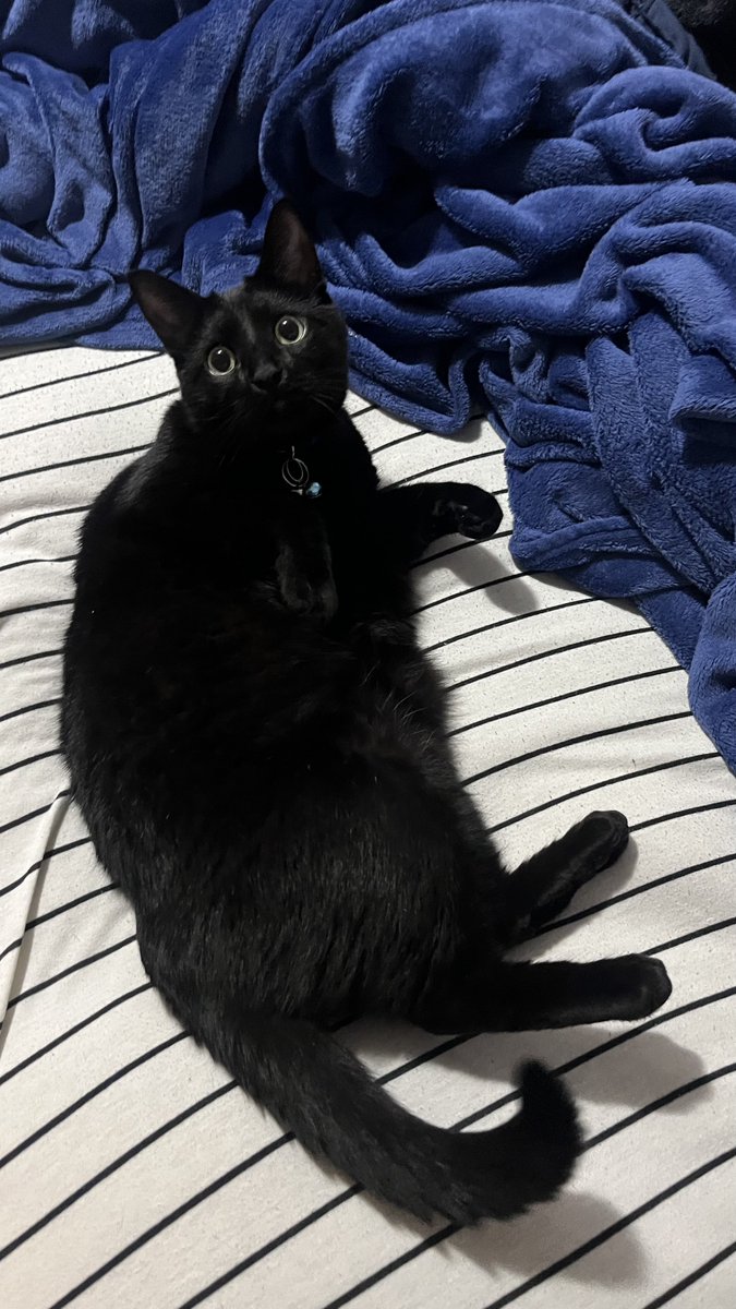 Sock’s father tweet media