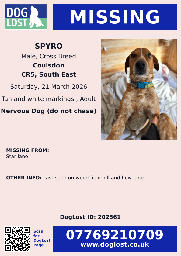 chris towers tweet media