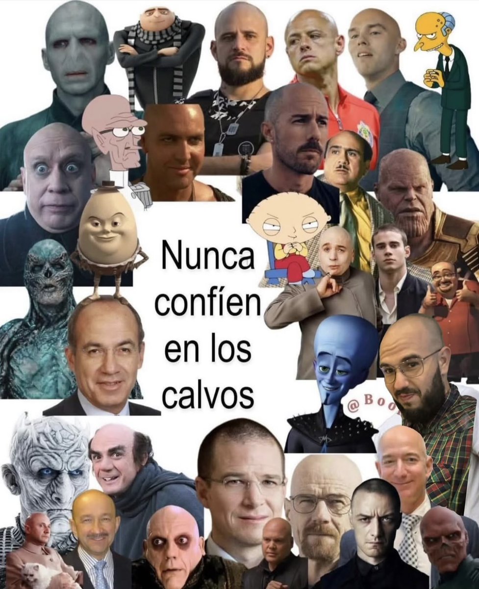 🇲🇽 México Mágico ✨ tweet media