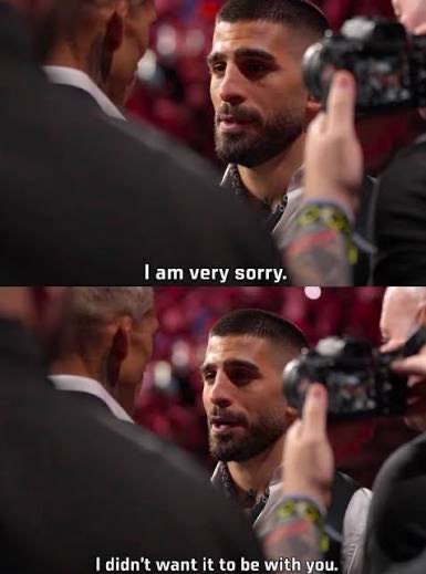 〽️ 🅱️🐗🐏 tweet media