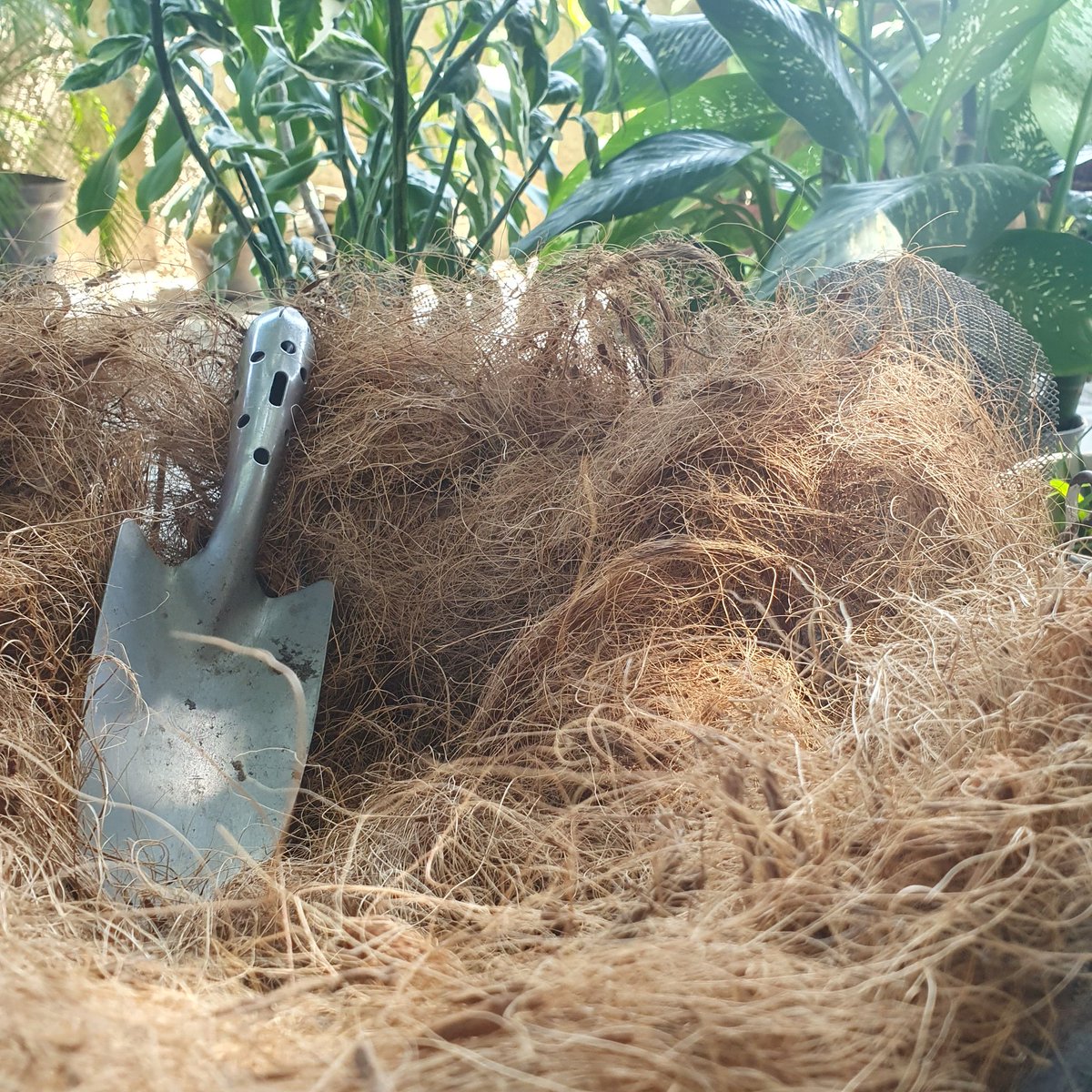 Yumarkys 🥚 tweet media