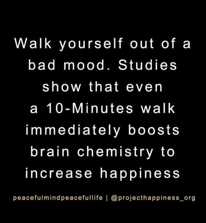 Ben Morrison Fund tweet media