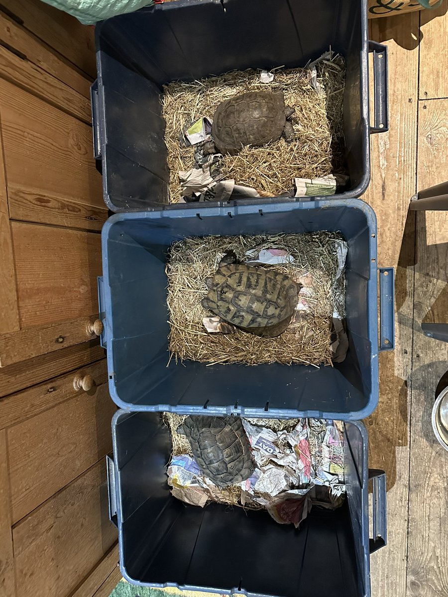 Robert Howard tweet media