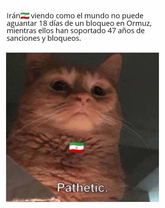 El crítico crítico ☭ tweet media