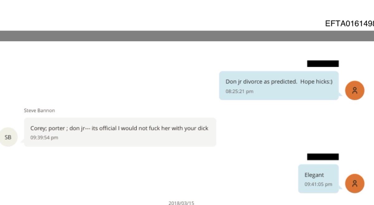 Was Steve Bannon telling Jeffrey Epstein that Corey Lewandowski, Rob Porter, and Donald Trump Jr. were all sleeping with former Trump aide Hope Hicks?