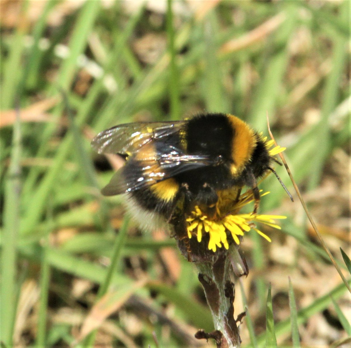 Allen Stuart Holmes tweet media