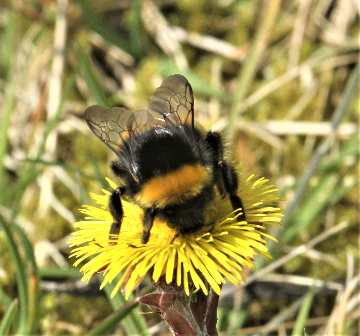 Allen Stuart Holmes tweet media