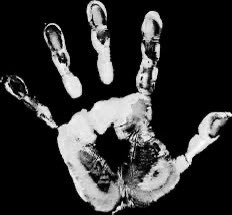 BIGSAM UG tweet media