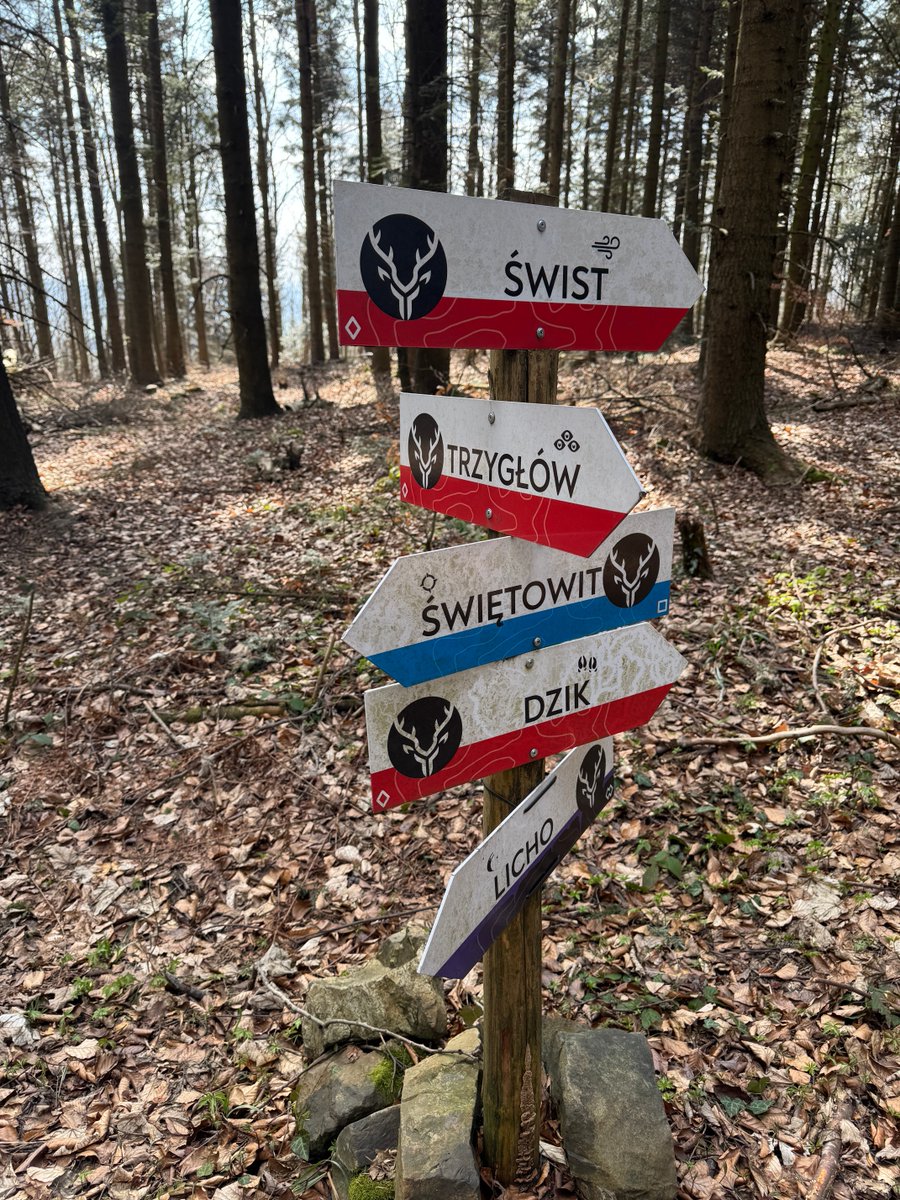 Tomasz Sommer tweet media