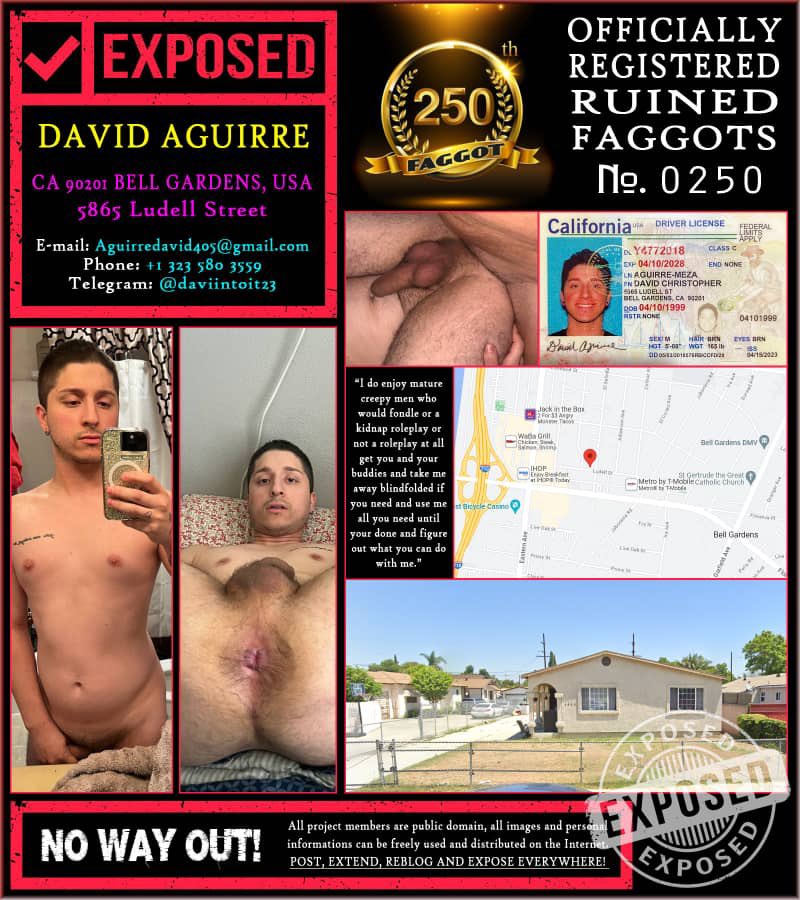 patheticfagdav tweet media