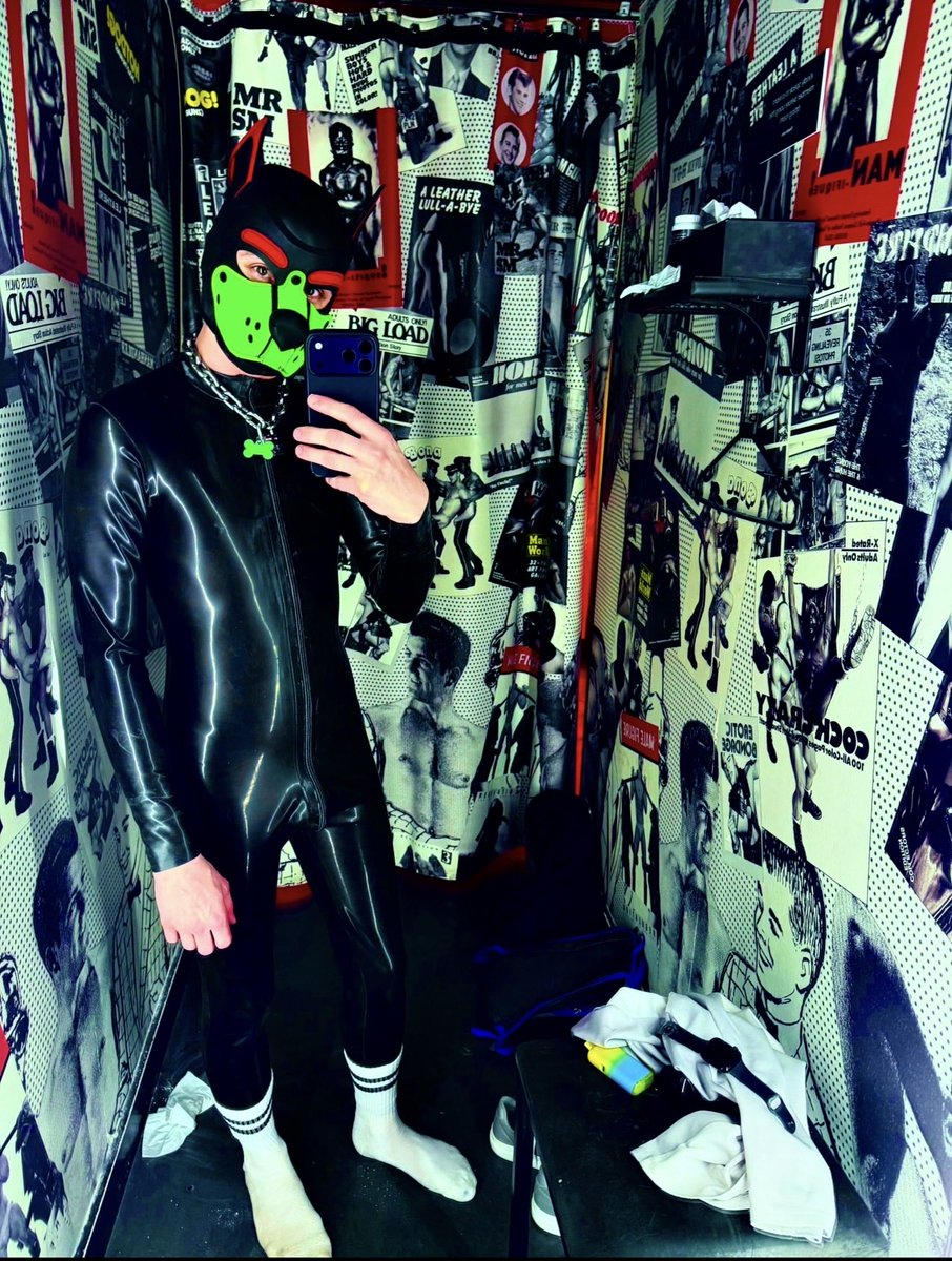 Pup_Leo_UK tweet media