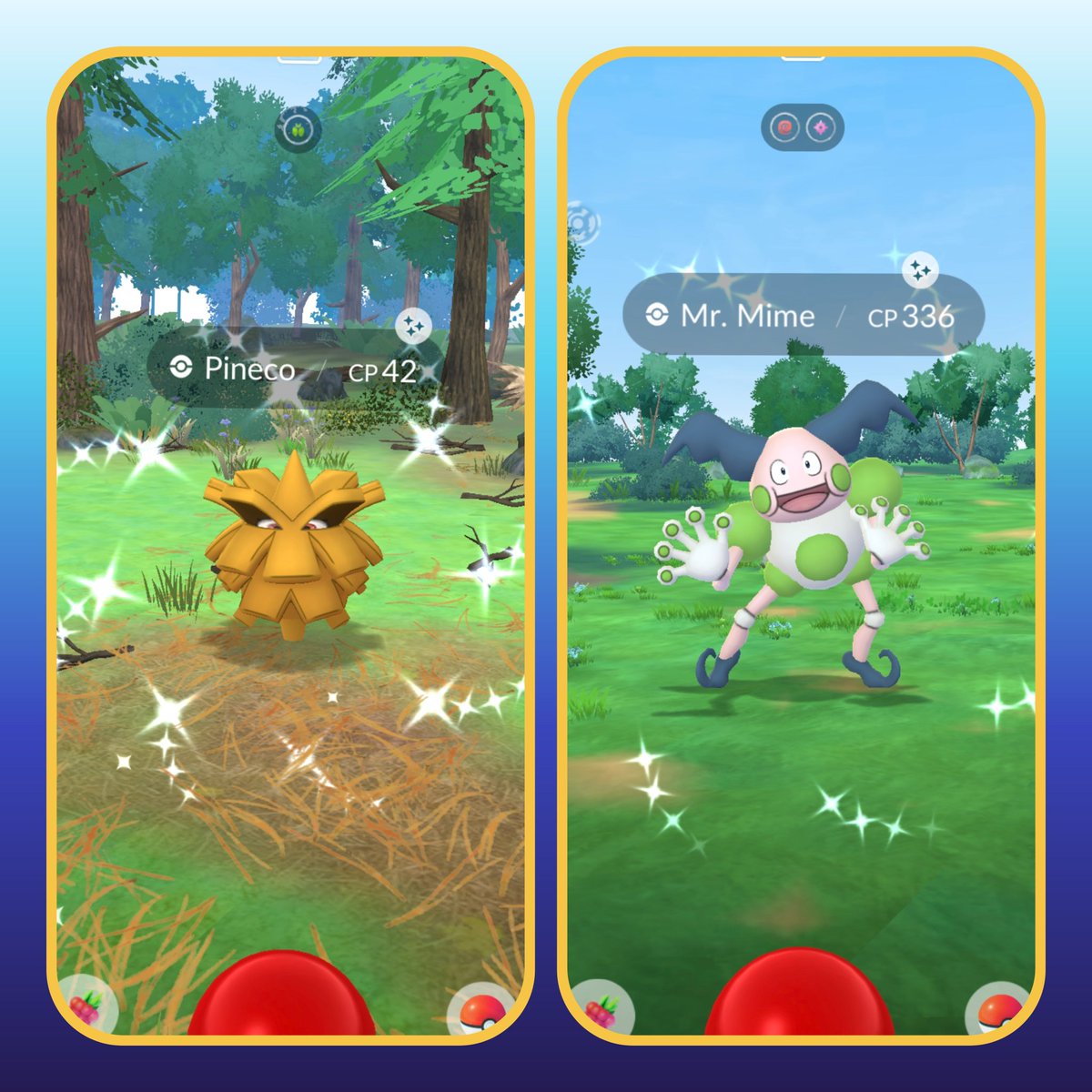 Aquatictoise tweet media