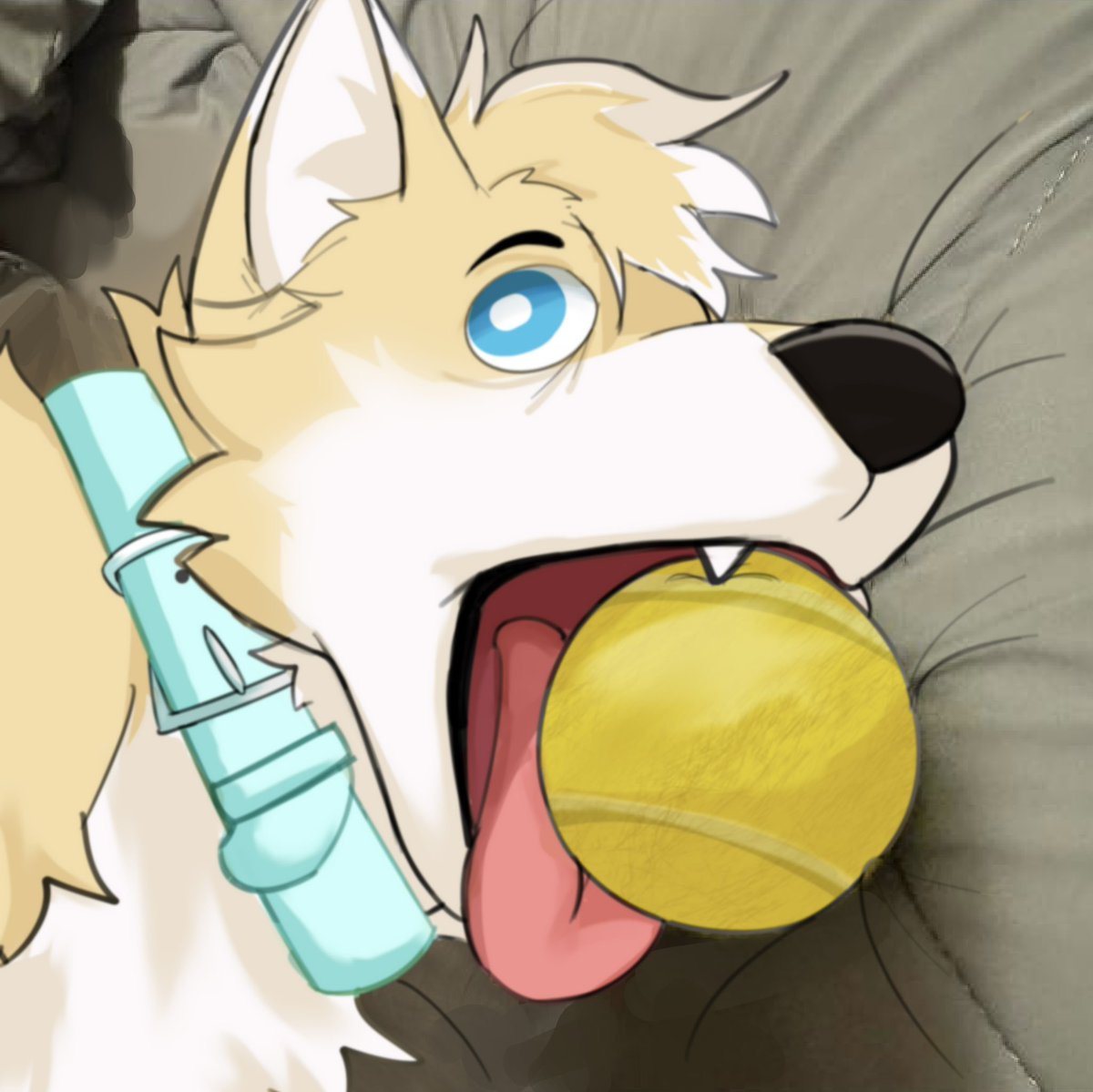 Reef 🏝️ 🔜 LVFC tweet media