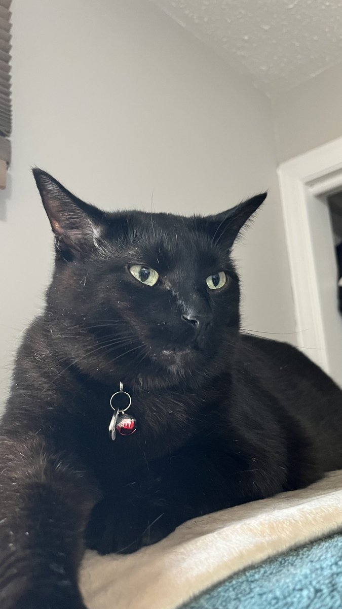 Sock’s father tweet media