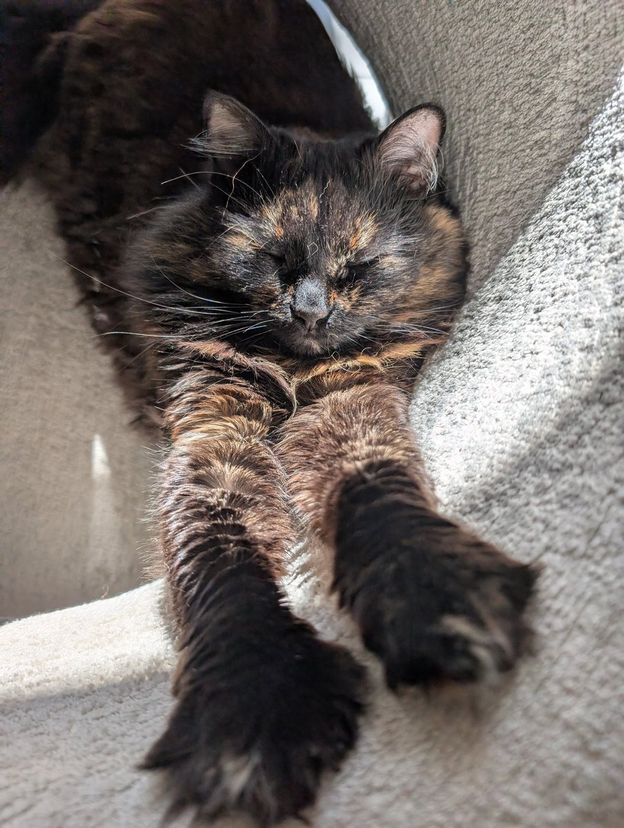 Передчасна артикуляція 🇺🇦 tweet media