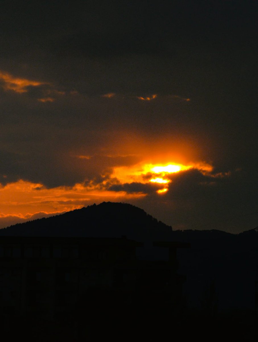 Sinopsis tweet media