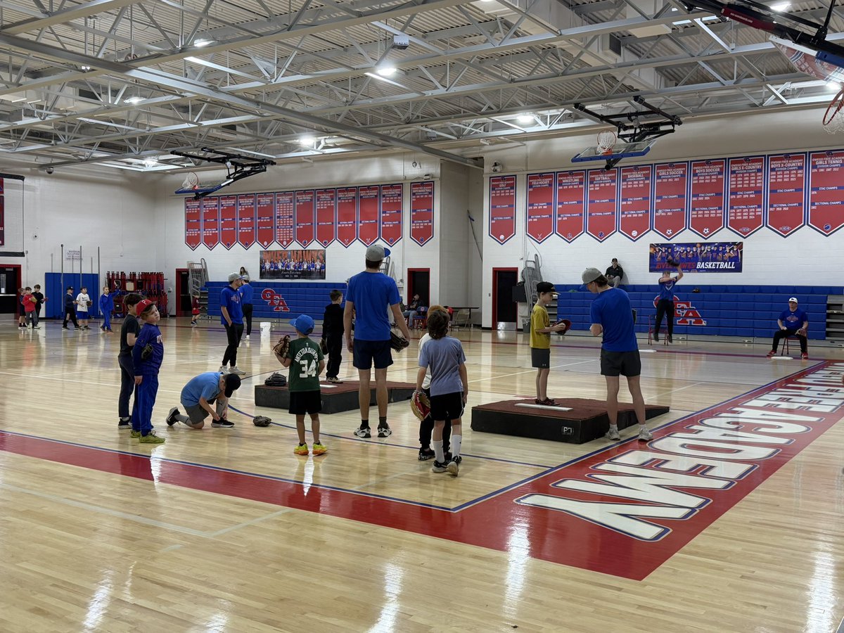 Owego Little League tweet media