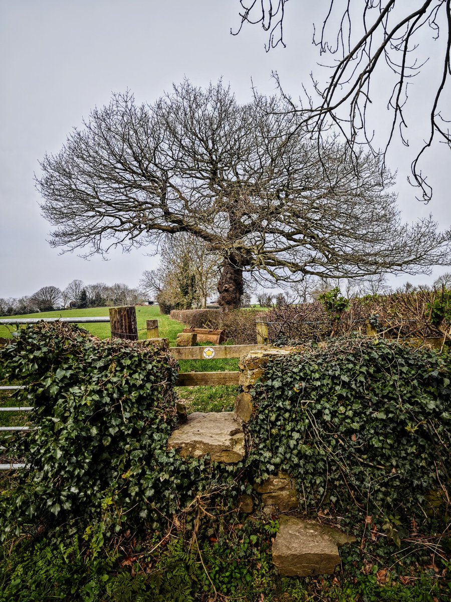 chrisbu03352910's tweet photo. #SundayStiles @LakesStiles
Sturdy fella near Silkstone this morning..😊👋🏻
📸 https://t.co/4AKQrneq9K