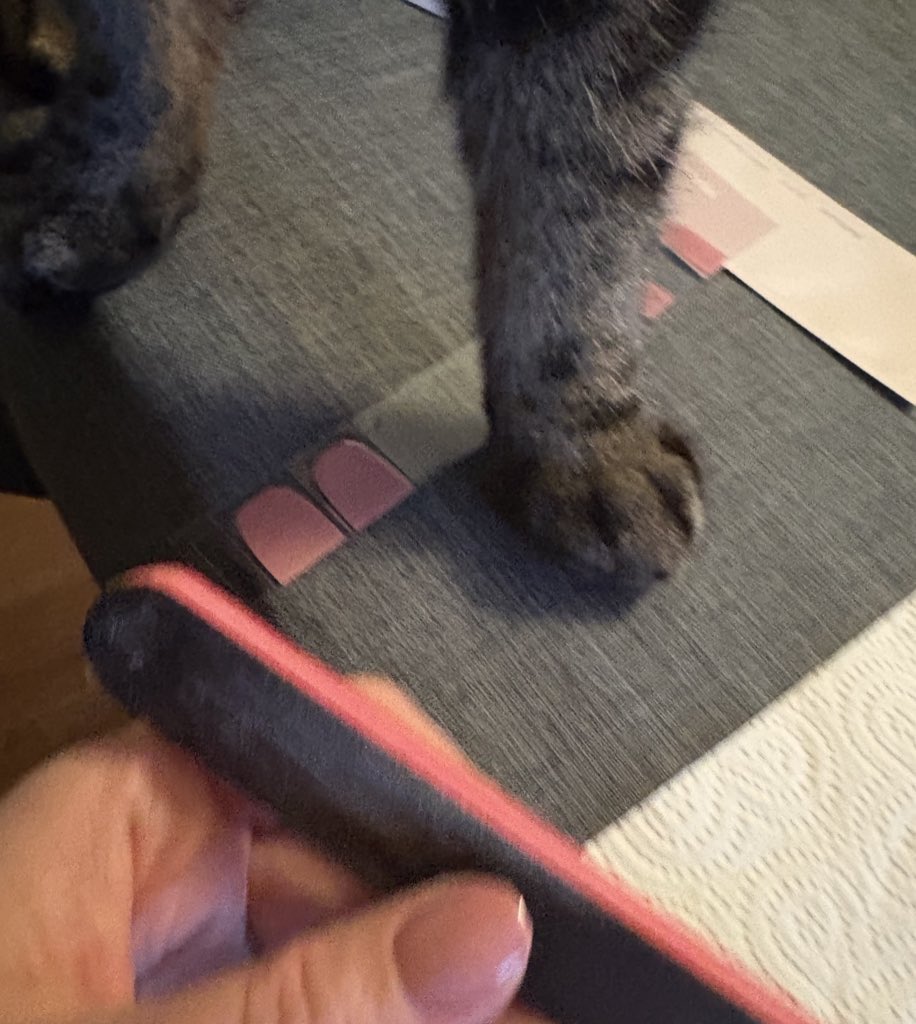 ᶠʳᵃᵘ ᴾᶦᵉᶠᵏᵉ +2 tweet media