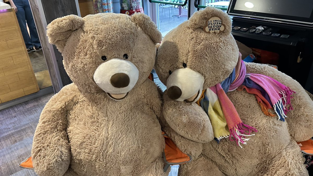 Ted Bearemy, Warrant Officer #DICS0324 tweet media