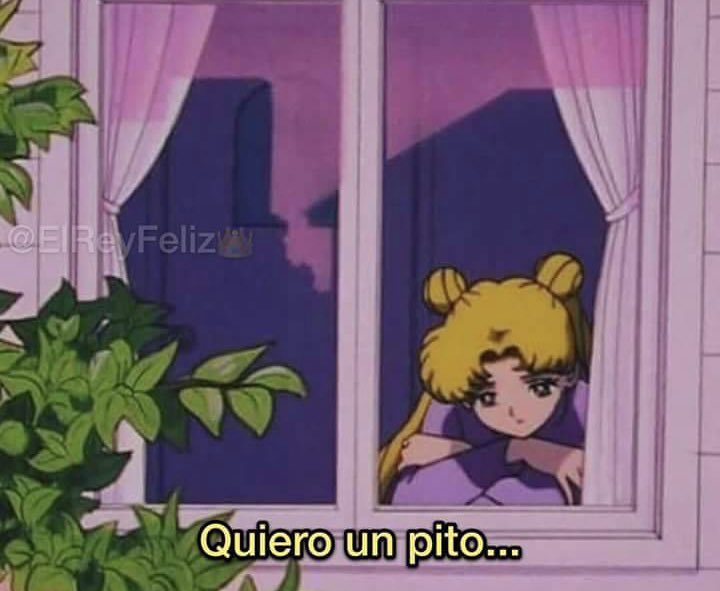 Fedu 🐼 tweet media