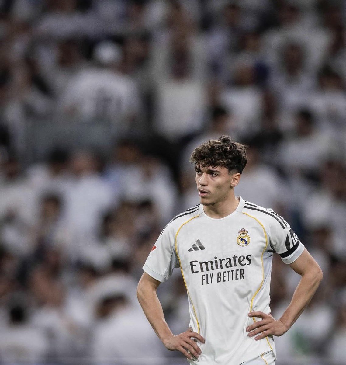 Edition Merengue tweet media