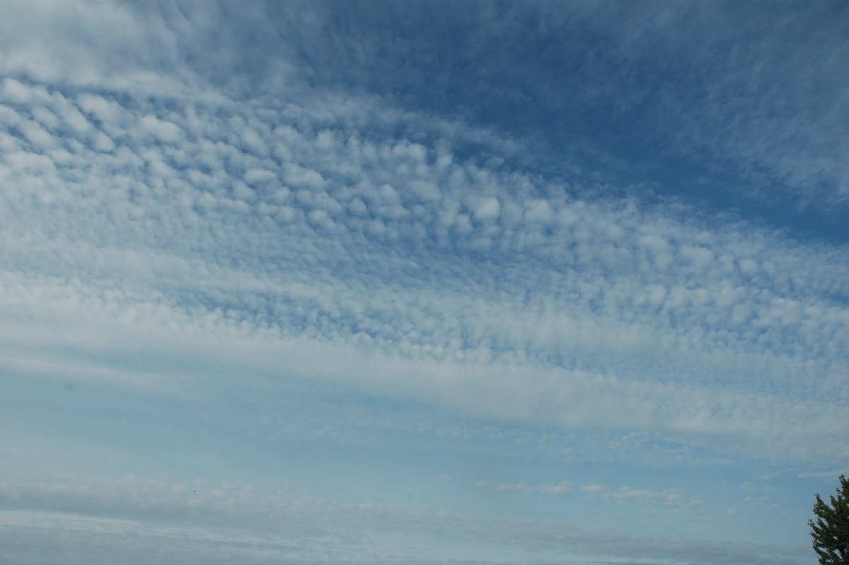 Wayne Goodfellow tweet media