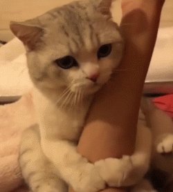 Beata Miś tweet media