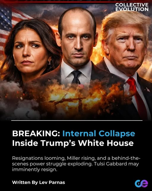 James Tate tweet media