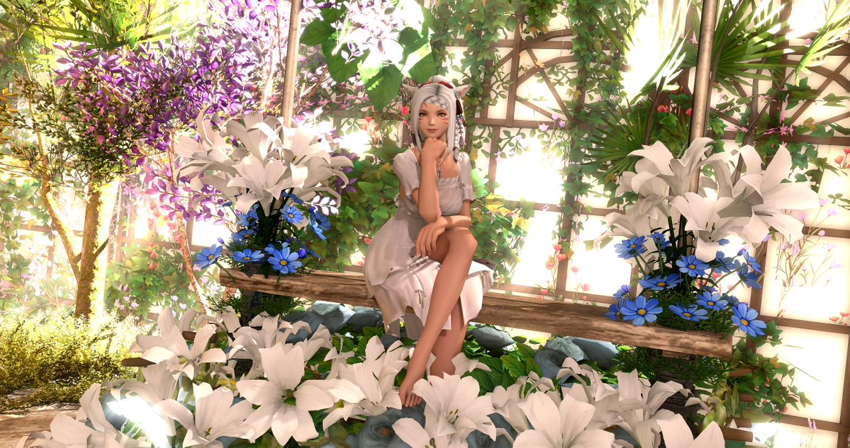 Sin - Photo studios in pinned! 📸 tweet media