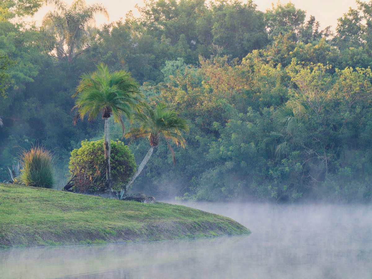 Billy Corgan tweet media