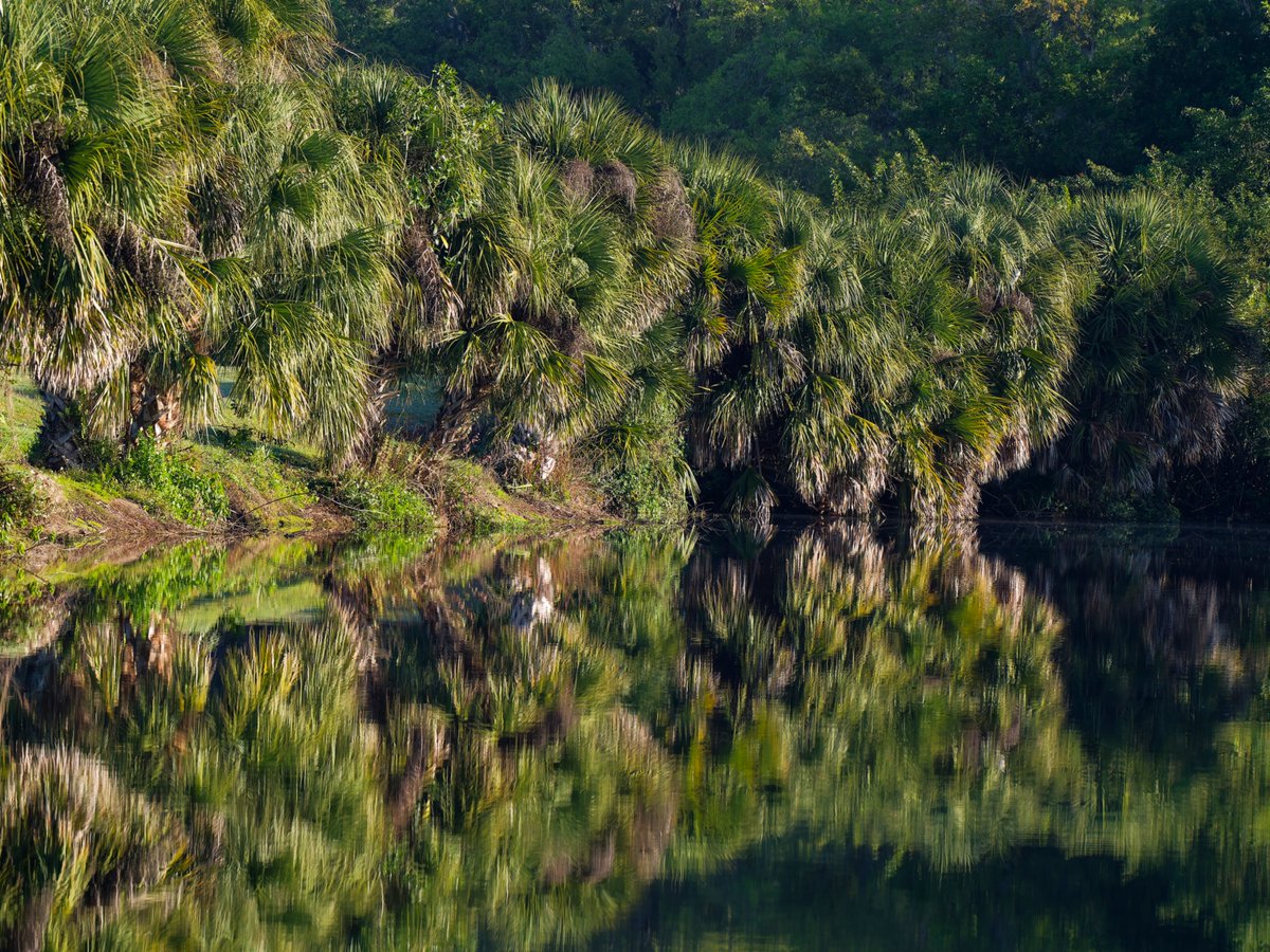 Billy Corgan tweet media