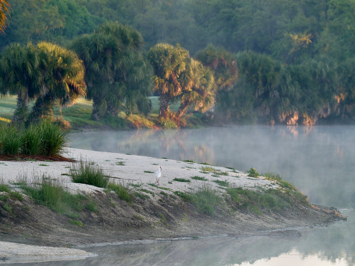 Billy Corgan tweet media