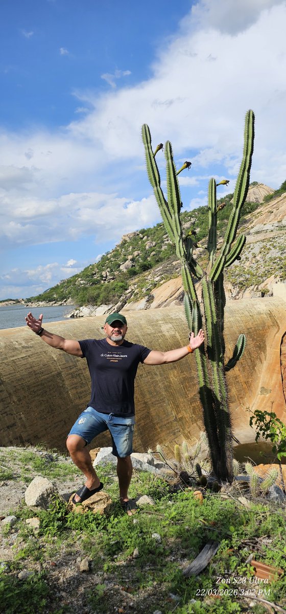 Zon Lima tweet media