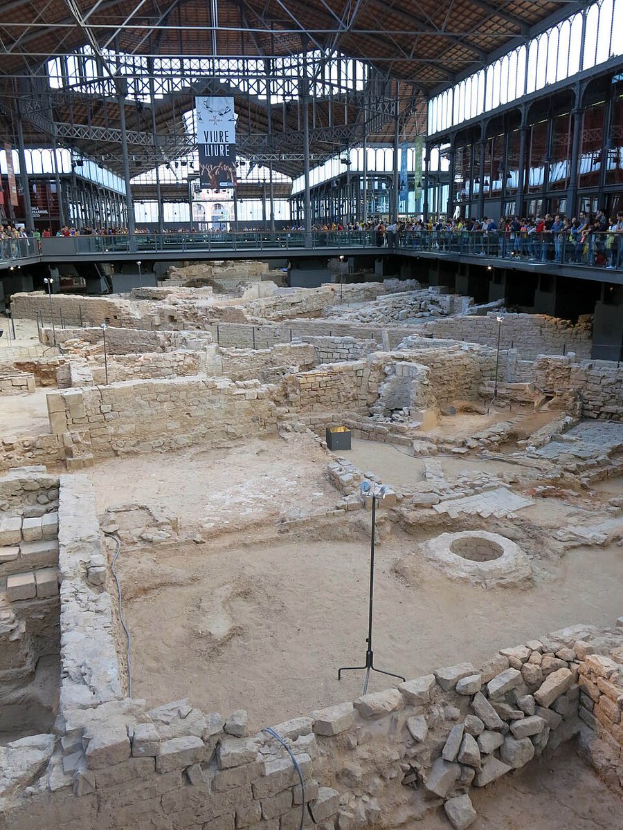 La Ribera En Acció tweet media