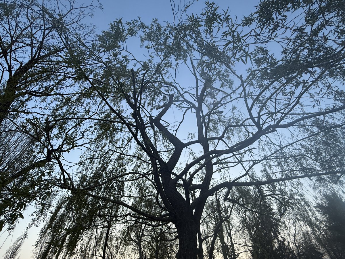 David Harris 🇫🇷🇬🇧 tweet media