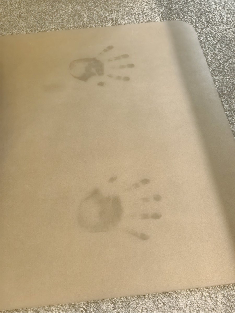 Daniel O`Sullivan tweet media