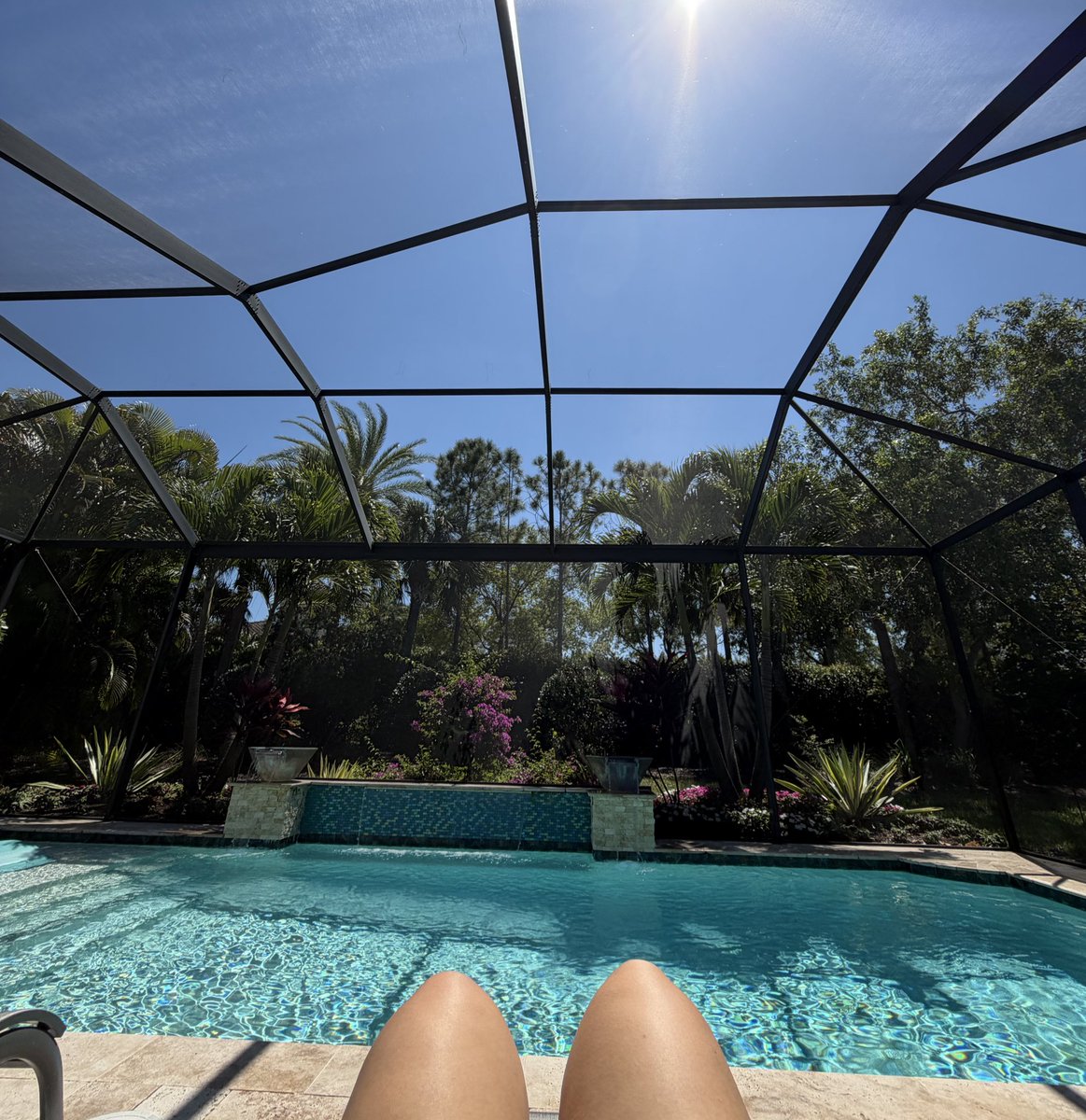 ness 🖤 tweet media