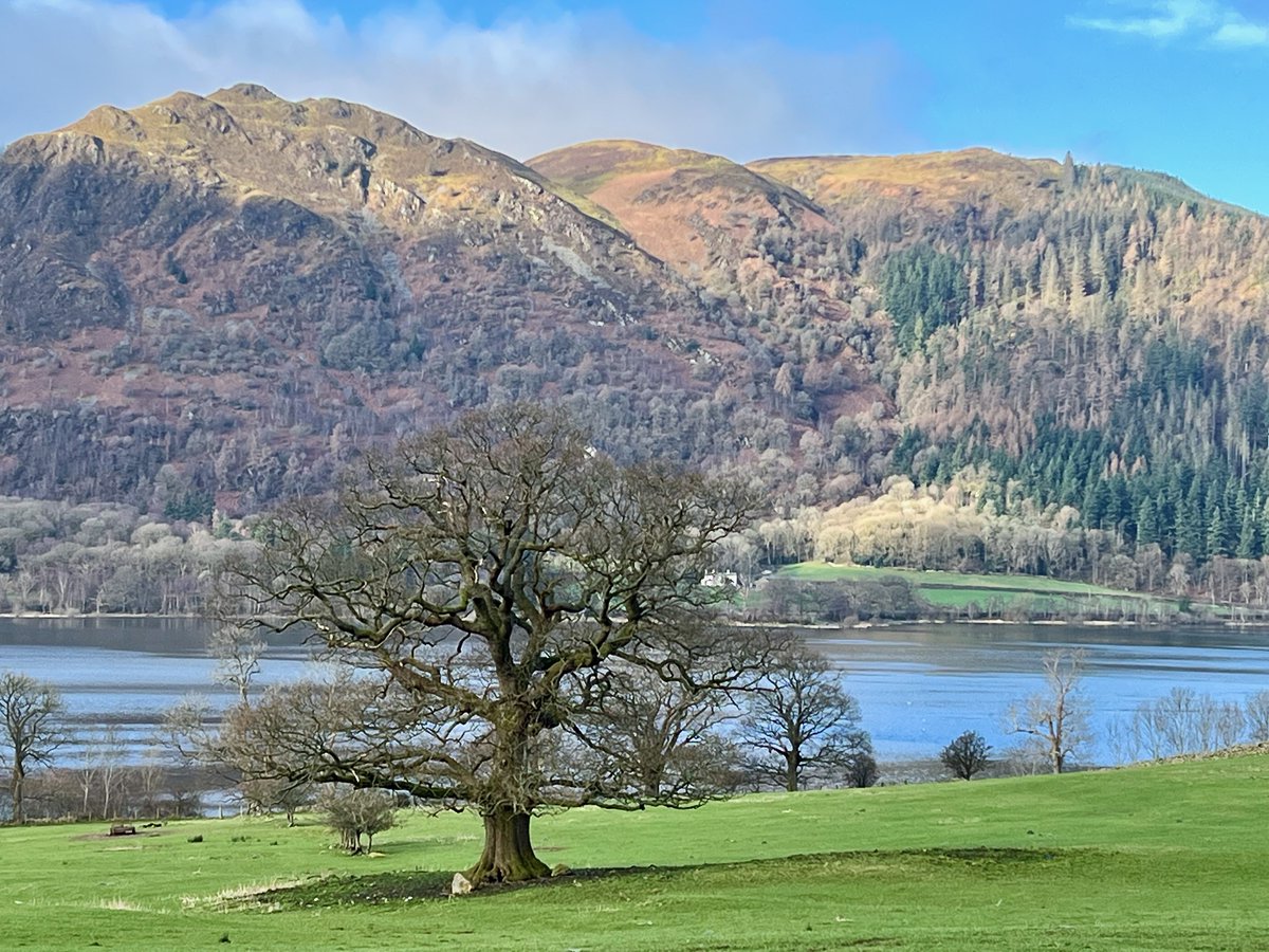 Sue Wilkinson tweet media