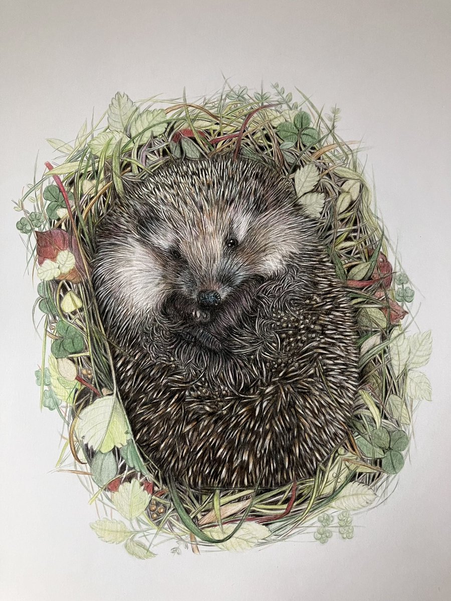 Lisa Wellwood Artist tweet media